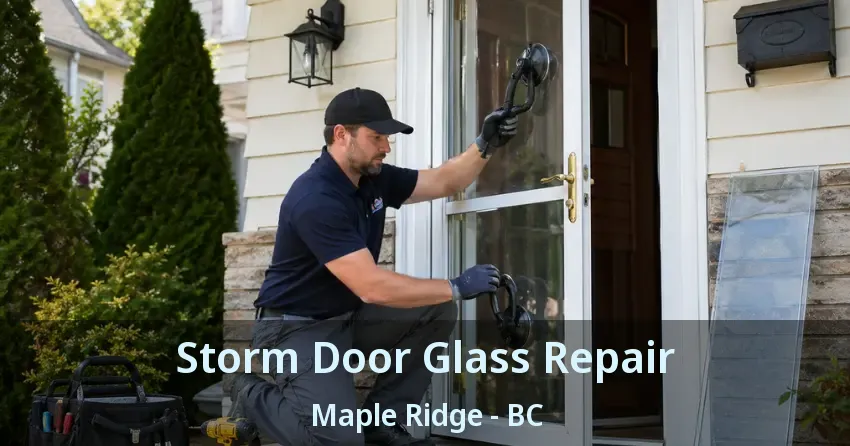 Storm Door Glass Repair Maple Ridge - BC